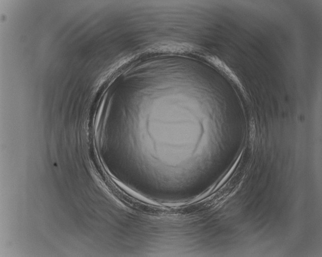 X0000081500581200702100058
