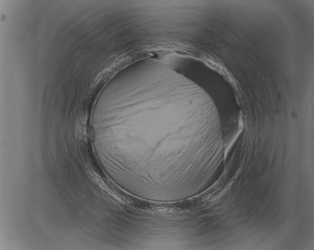 X0000081500585200702100058