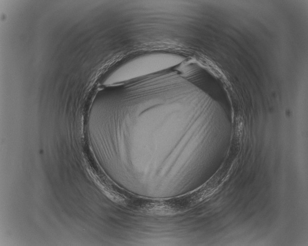 X0000081500589200702100057
