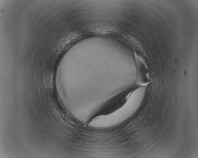 X0000081500596200702100057