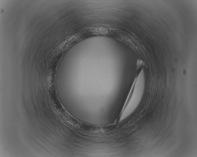 X0000081500600200702100057