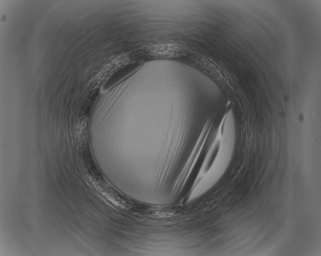 X0000081500601200702100057