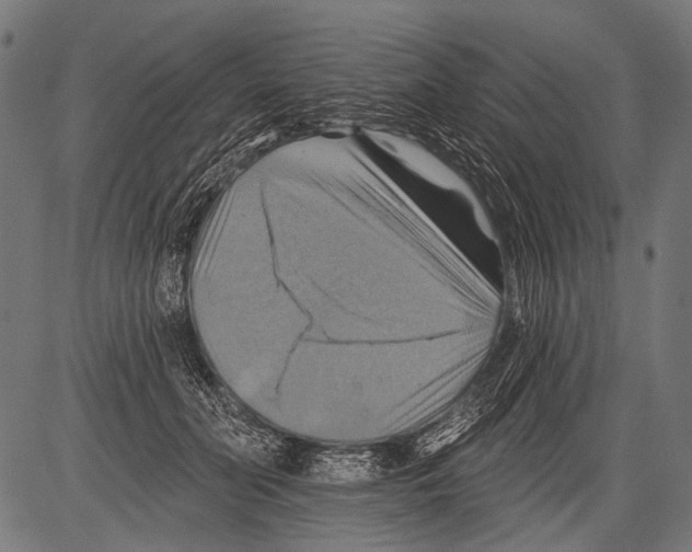 X0000081500606200702100057