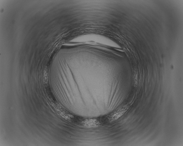 X0000081500609200702100057