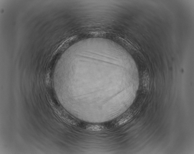 X0000081500611200702100057