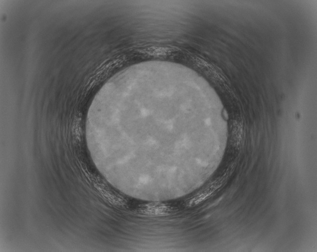 X0000081500612200702100057