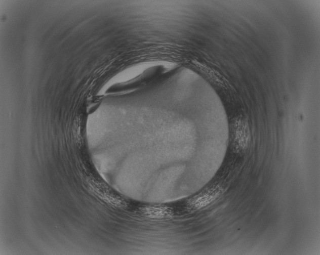 X0000081500615200702100057