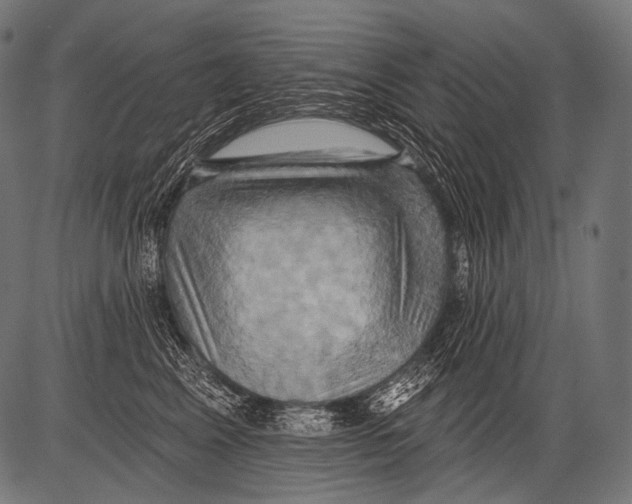 X0000081500617200702100057