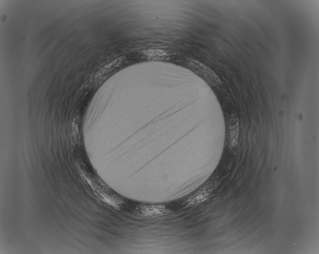 X0000081500618200702100057