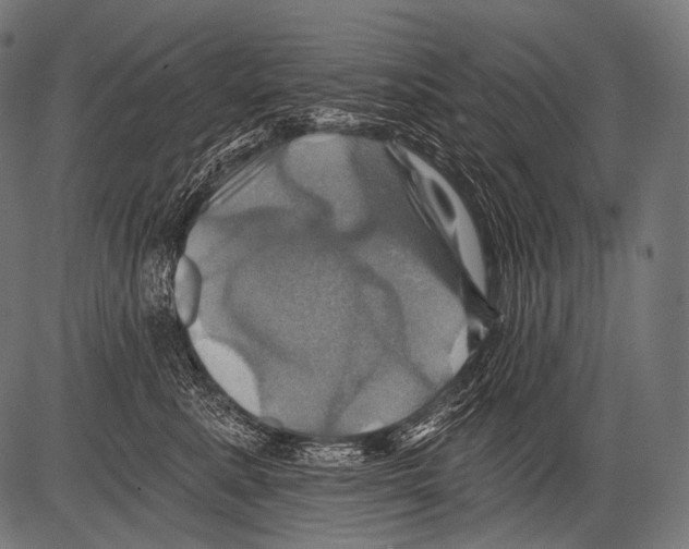 X0000081500619200702100057