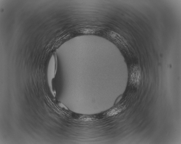 X0000081500620200702100057