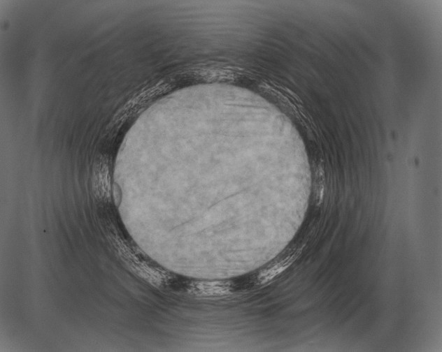 X0000081500622200702100057