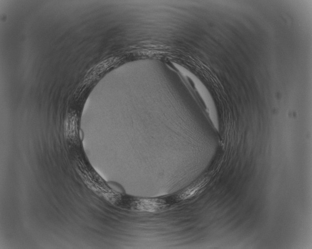 X0000081500623200702100057