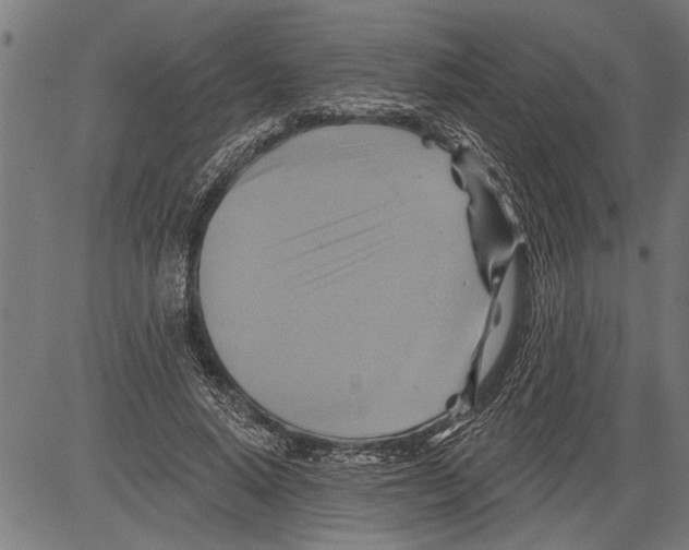 X0000081500640200702100056