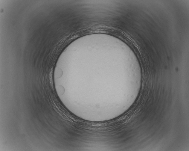 X0000081500641200702100056