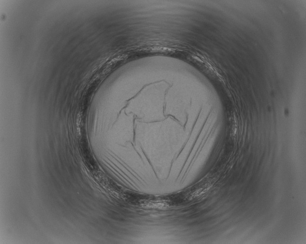 X0000081500643200702100056