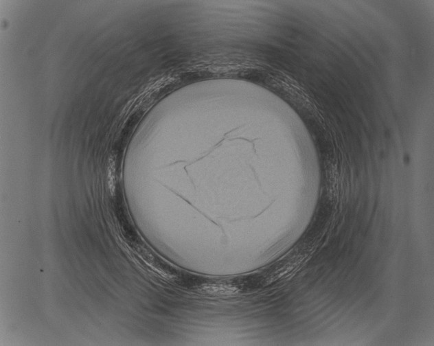 X0000081500644200702100056