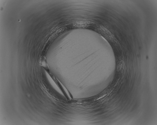 X0000081500647200702100057