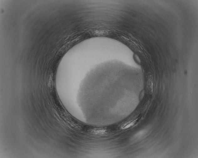 X0000081500651200702100057
