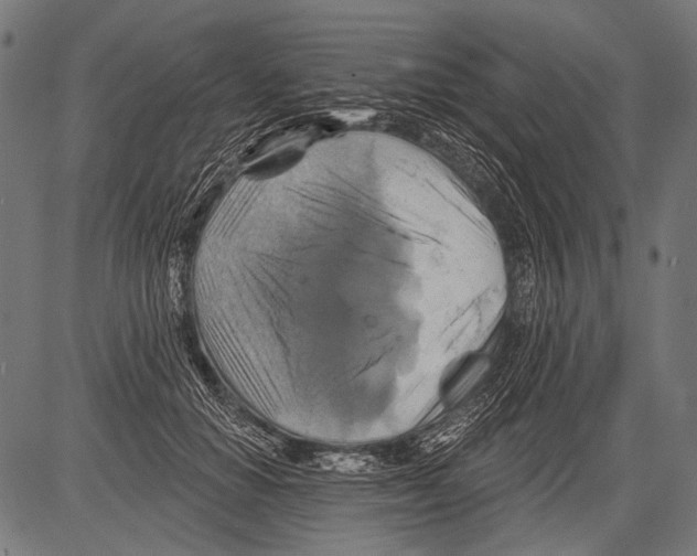 X0000081500654200702100057