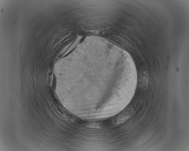 X0000081500656200702100057