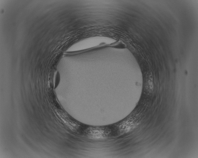 X0000081500658200702100057