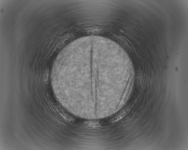X0000081500660200702100057