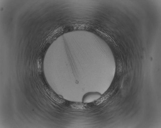 X0000081500661200702100057