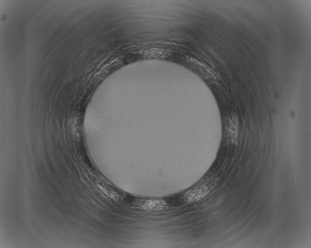 X0000081500663200702100057