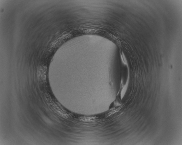 X0000081500664200702100057