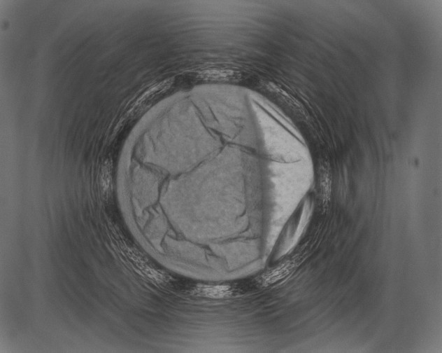 X0000081500665200702100057
