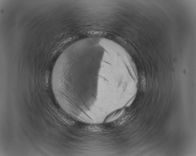 X0000081500668200702100057
