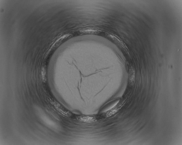 X0000081500669200702100057