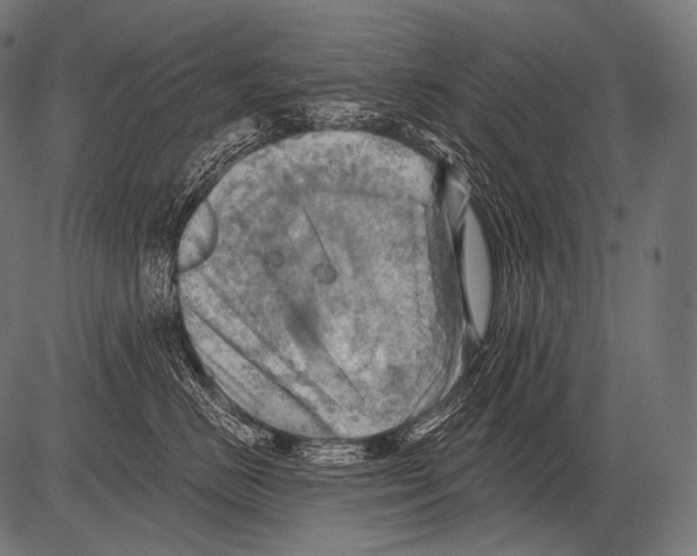 X0000081500670200702100057