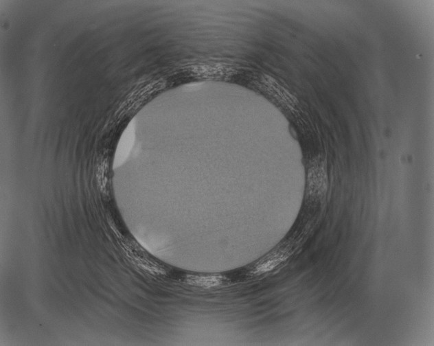 X0000081500671200702100057