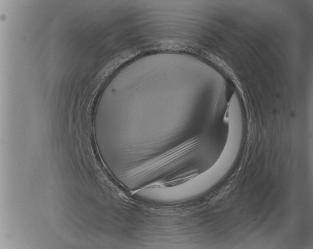 X0000081500673200702100056