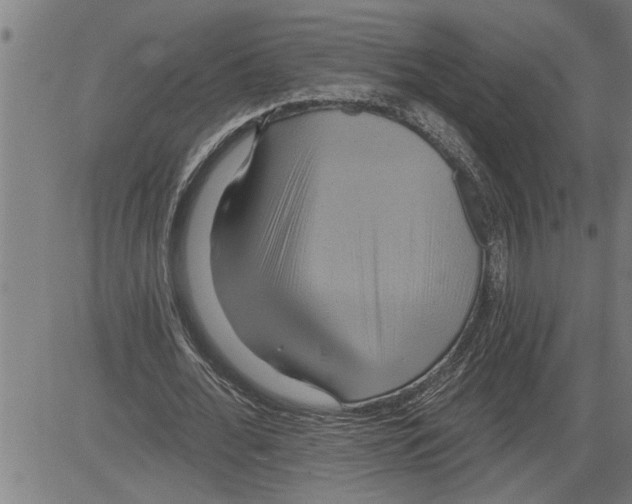 X0000081500676200702100056