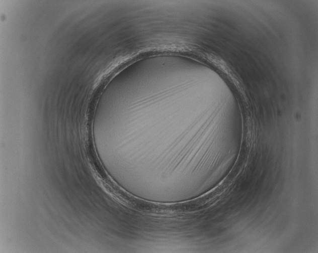 X0000081500677200702100056