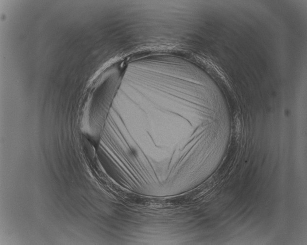 X0000081500684200702100056