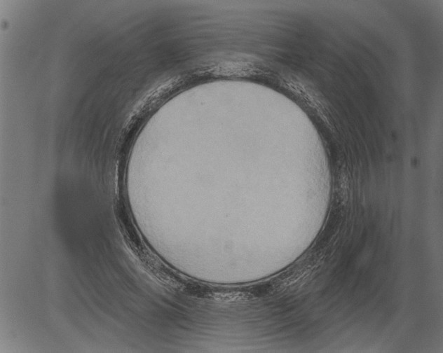 X0000081500686200702100056
