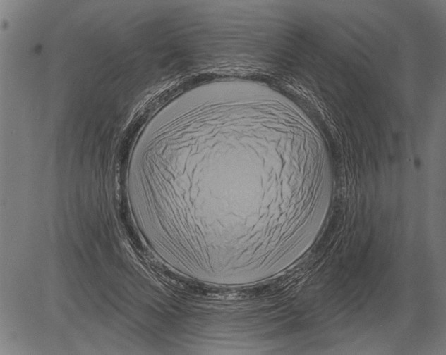 X0000081500688200702100056