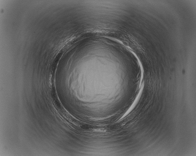 X0000081500692200702100056