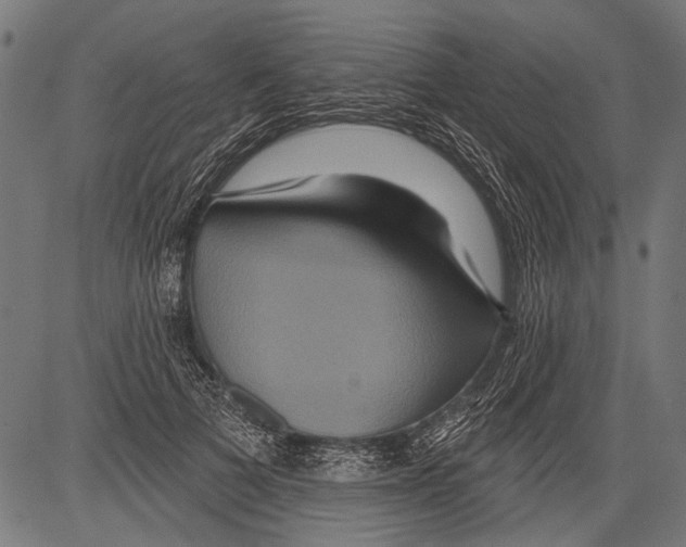X0000081500697200702100056