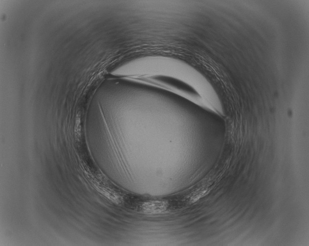 X0000081500700200702100056