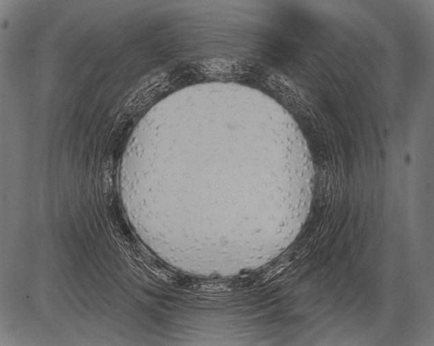 X0000081500702200702100056