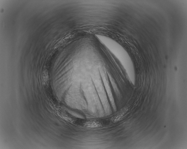 X0000081500704200702100056