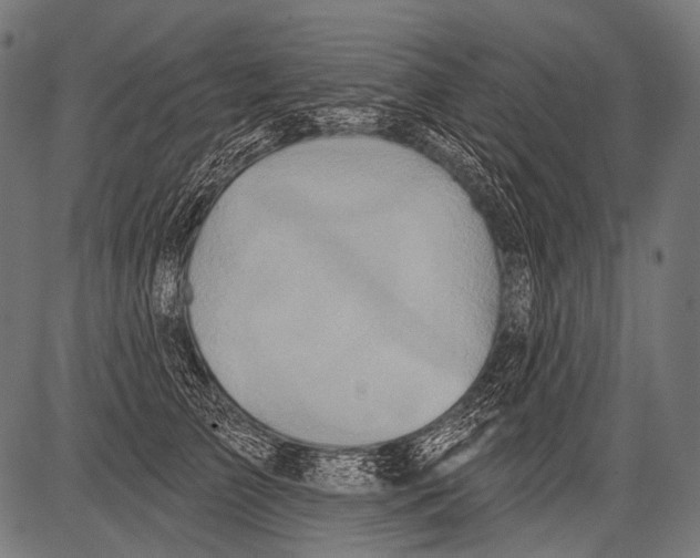 X0000081500709200702100056