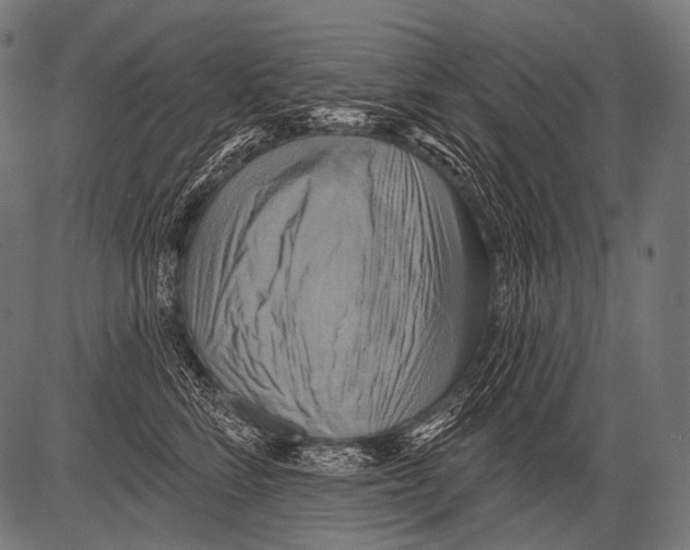 X0000081500712200702100055