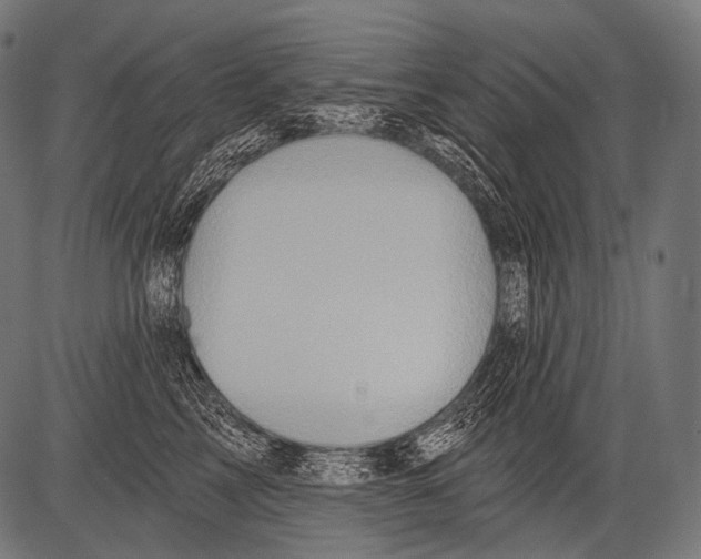 X0000081500713200702100055