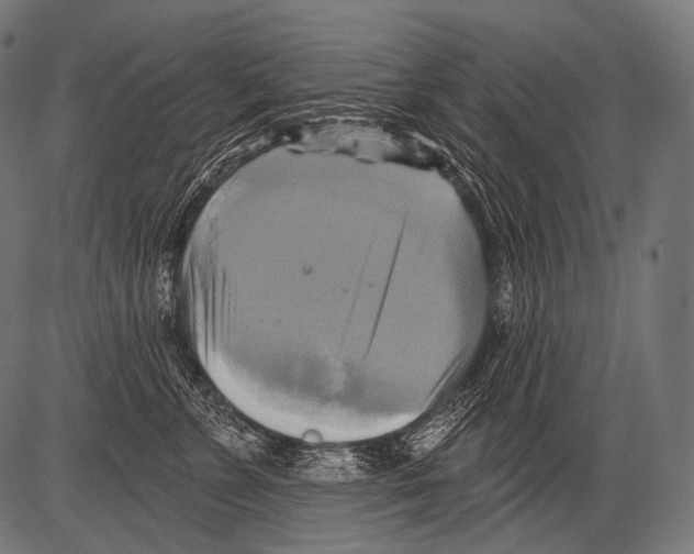 X0000081500715200702100055